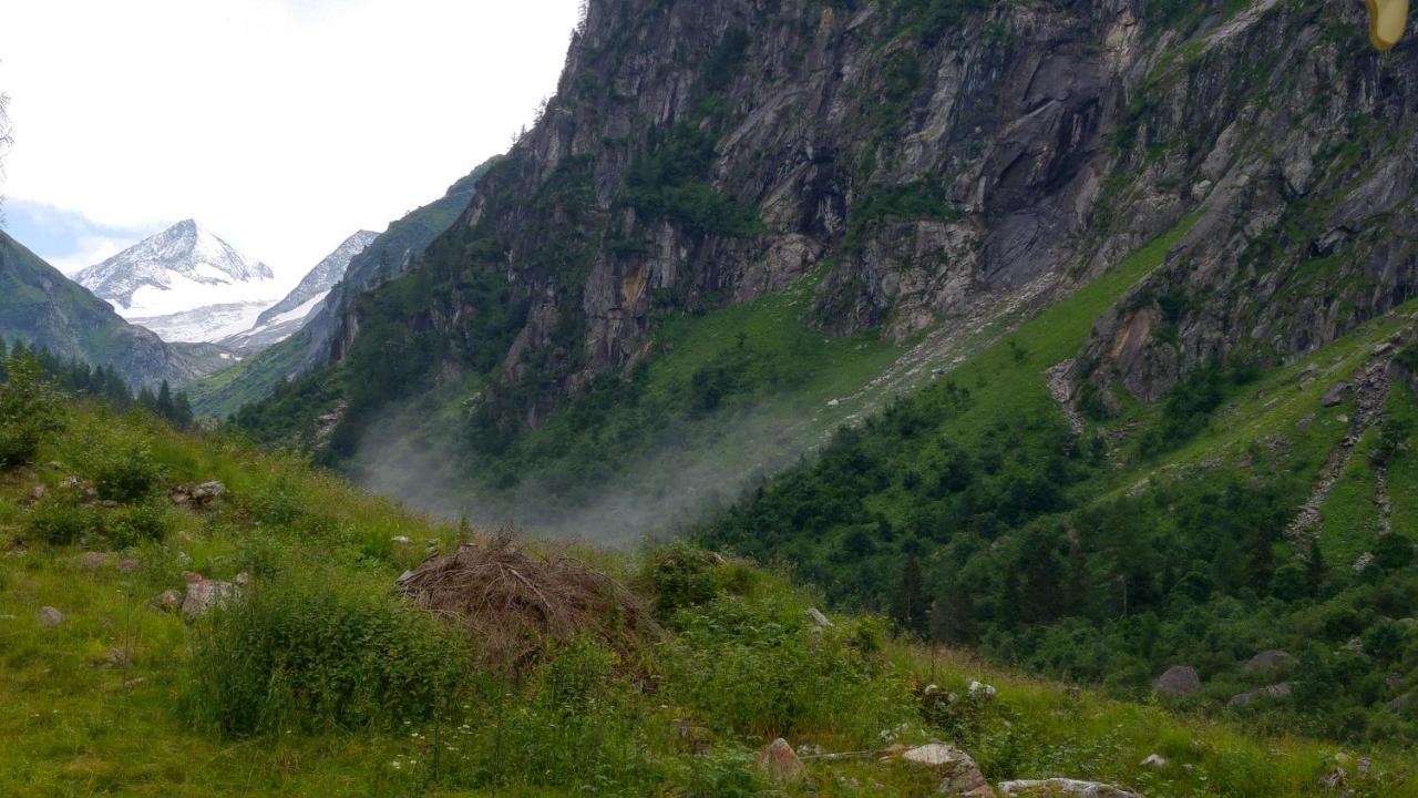 Gaestehaus Reichholf Neukirchen am Großvenediger Εξωτερικό φωτογραφία